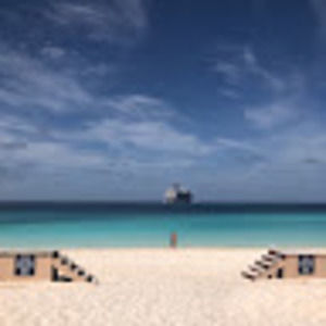 Meet your Posher, Shelley